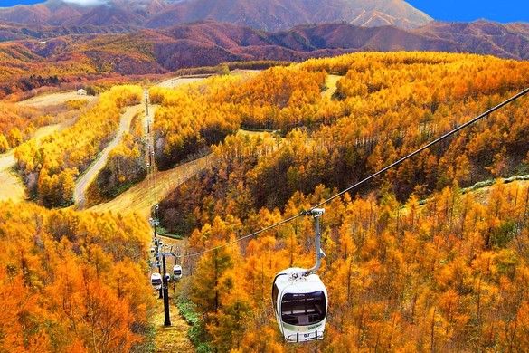 標高1,390m。裏磐梯の「緑」と「赤」の絶景に包まれる