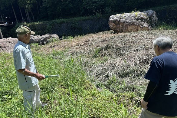 高麗川でどのようにホタルを育てるか？
