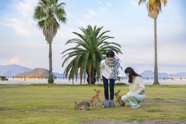 朝はウサギさん達が走り回っています