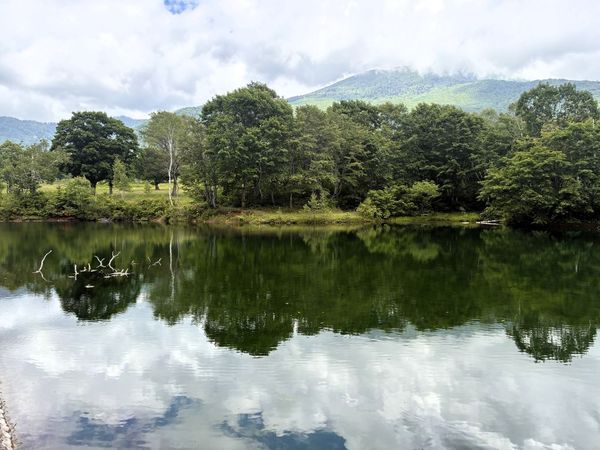 清水が池