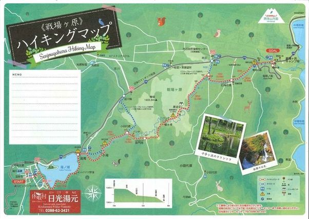 奥日光で見られる花