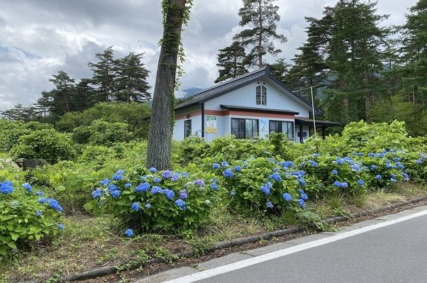 安曇野で夏に見られる自然