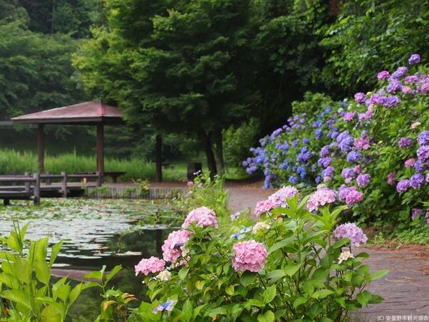 安曇野で夏に見られる自然