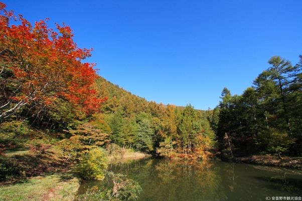 安曇野で見られる秋の自然