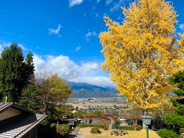 安曇野で見られる秋の自然