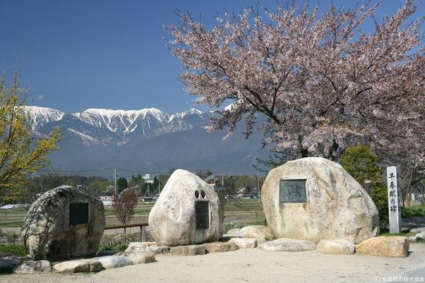 春のお花＆桜情報