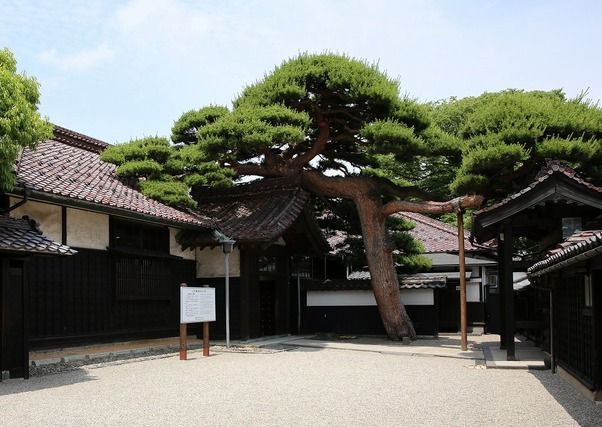酒田おすすめ観光スポット