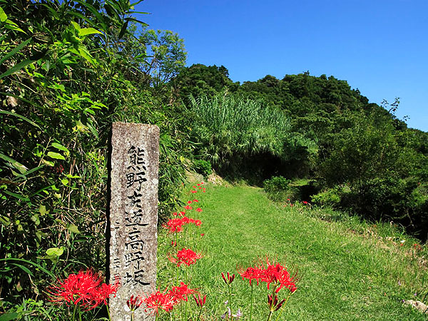 【高野坂（金光稲荷神社前）】