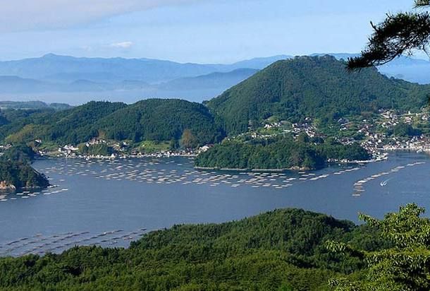 早馬山
