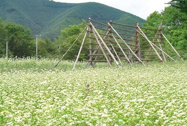 乗鞍高原温泉の町並み
