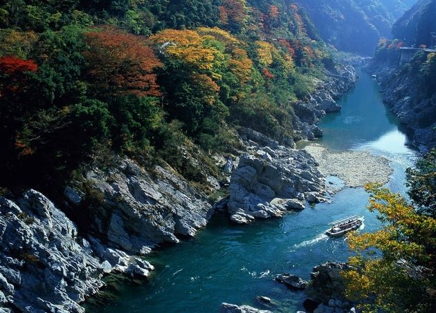【徳島の絶景渓谷を満喫♪】四国を旅する【徳島編】　祖谷のかずら橋と大歩危峡を巡る紅葉満喫ツアー