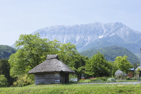 登山や散策、広場でスポーツもおススメです。
