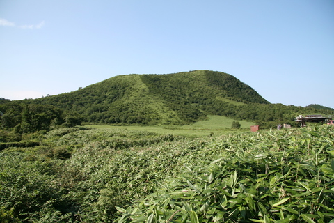 登山や散策、広場でスポーツもおススメです。
