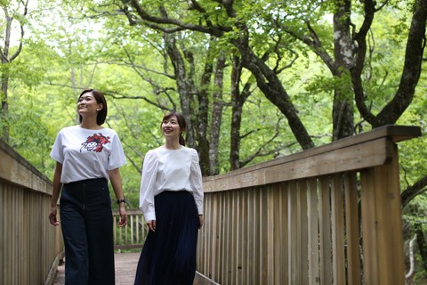 登山や散策、広場でスポーツもおススメです。