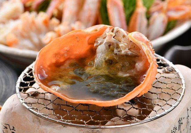 すべてのお料理が越前活がに2杯使用【極魅コース】