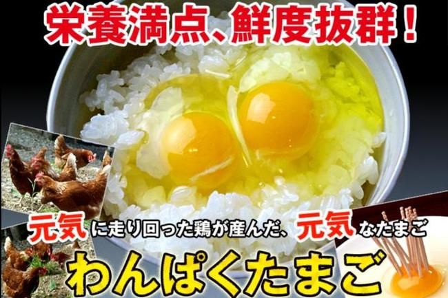 ～山形ブランド米を堪能　山形郷土料理ビュッフェ～