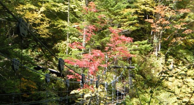 三本滝