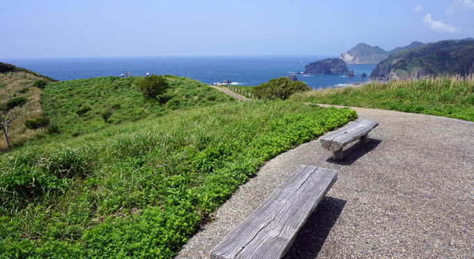 奥石廊崎　ユウスゲ公園