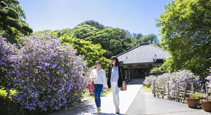 了仙寺