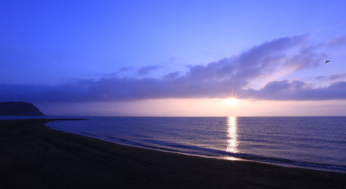 知林ヶ島