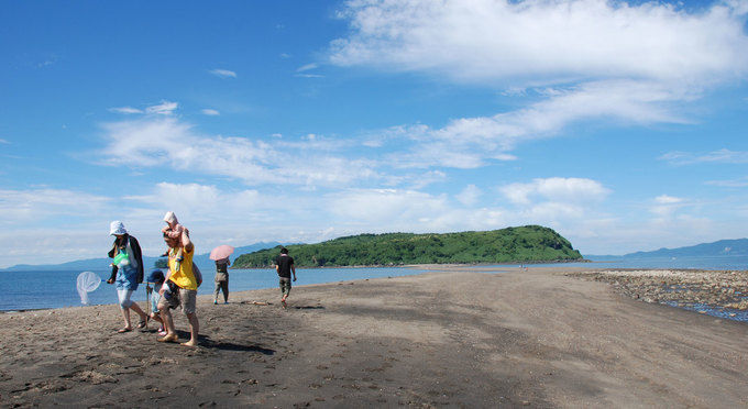 知林ヶ島