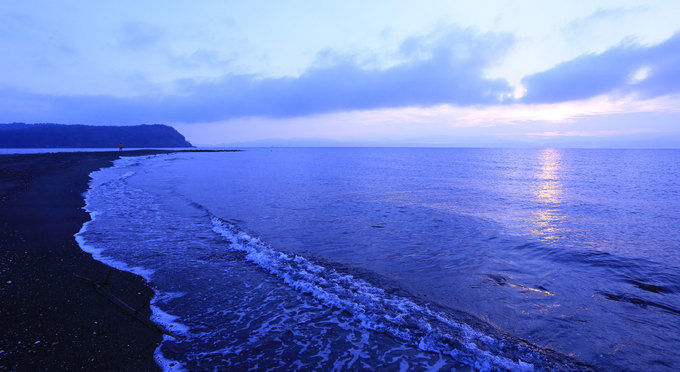 知林ヶ島