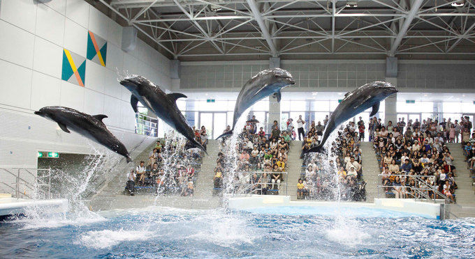 いおワールド　かごしま水族館
