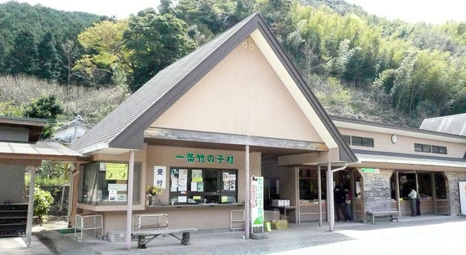 一条竹の子村