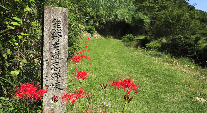 熊野古道「高野坂」