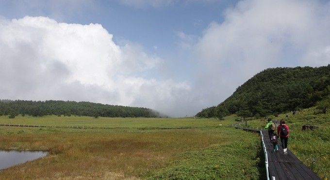 池の平湿原