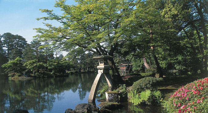 兼六園