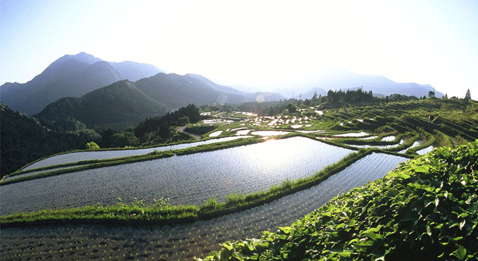 丸山千枚田