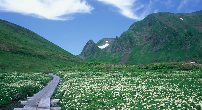 秋田駒ヶ岳