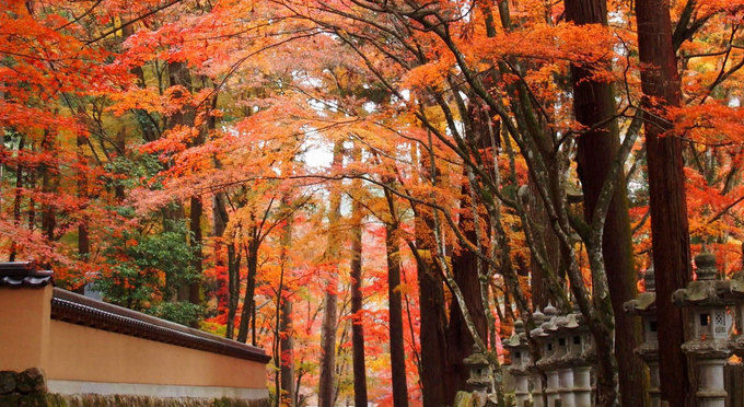 佛通寺