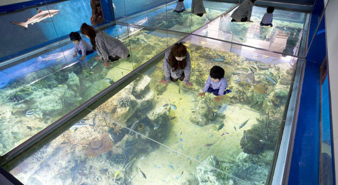 越前松島水族館