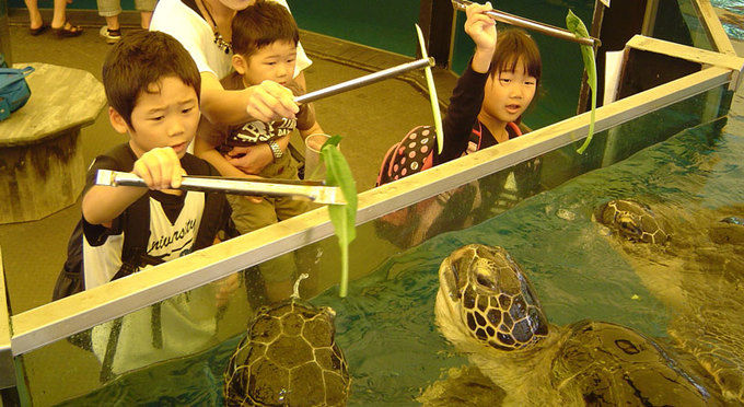 越前松島水族館