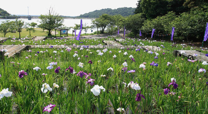 初立池公園