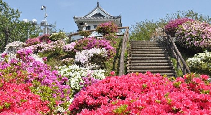 城山公園（椿・梅・桜・ツツジ）