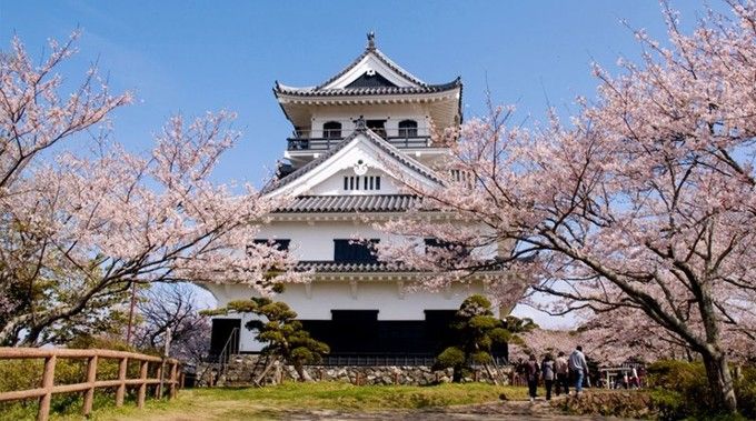 城山公園（椿・梅・桜・ツツジ）