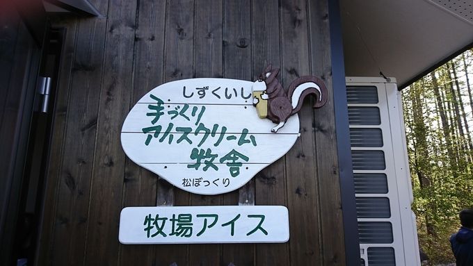 松ぼっくり