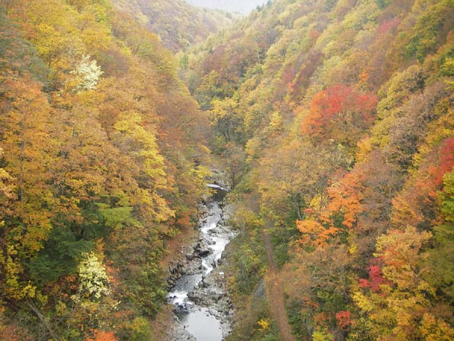 中津川渓谷