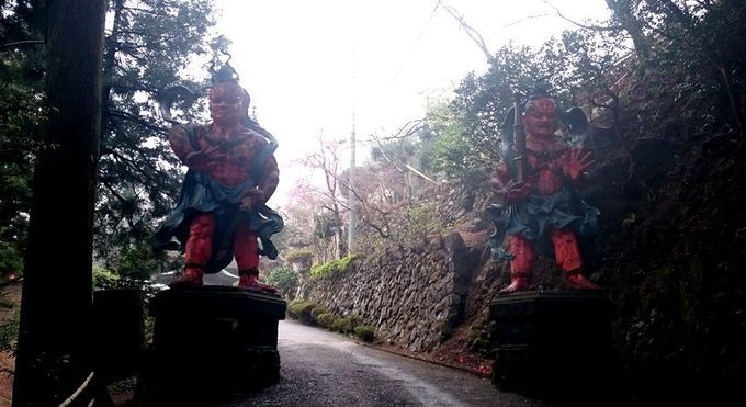 子の権現