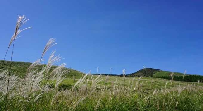 稲取細野高原