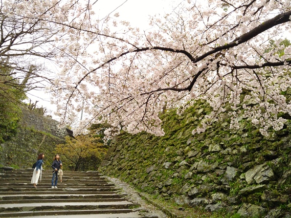 和歌山城（和歌山市）