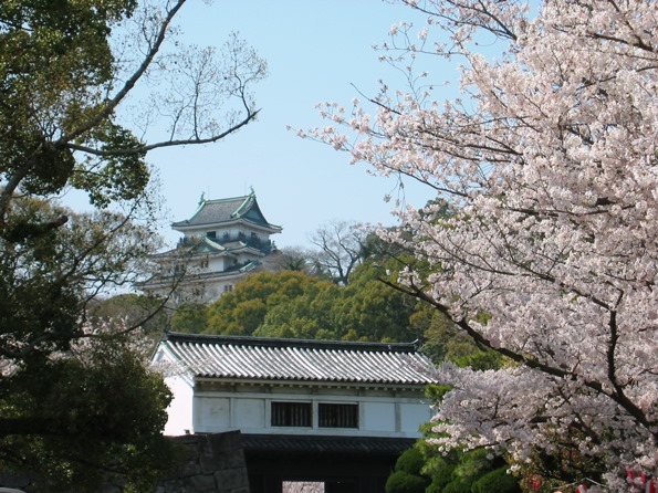 和歌山城（和歌山市）