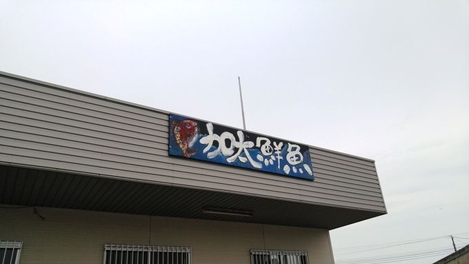 加太鮮魚（和歌山市加太）