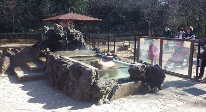 こども動物自然公園