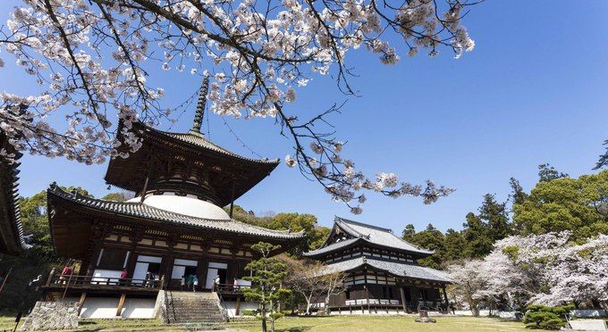 根来寺（岩出市）