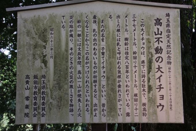 高山不動尊