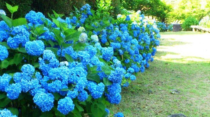加太森林公園（和歌山市）
